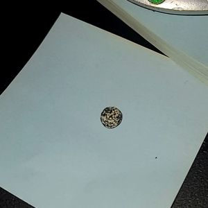 Amphibolite (small stone)